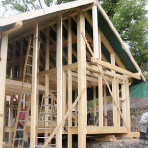 cd pod, box5, lizard